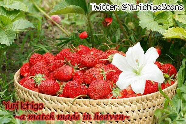 Hino-San No Baka Chapter 5.5 trang 10