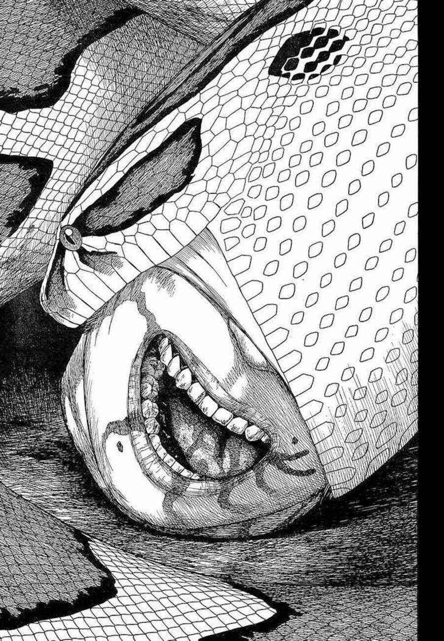 Historie Chapter 60 trang 29