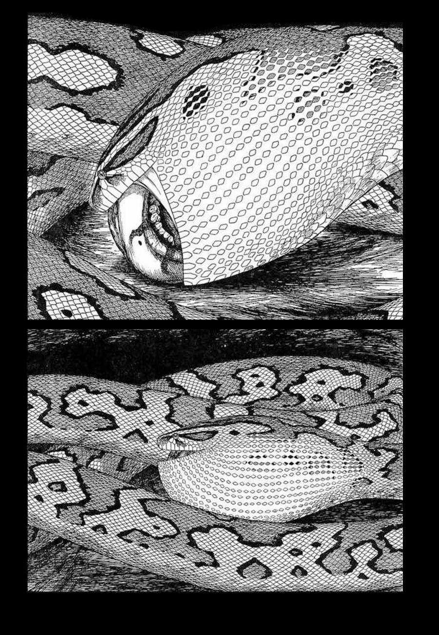 Historie Chapter 60 trang 30