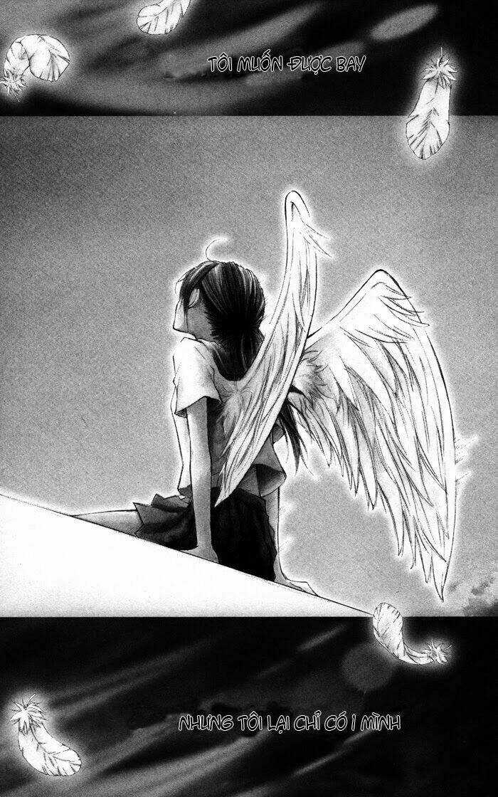 Hitoribocchi wa Samishikute Chapter 1 trang 6