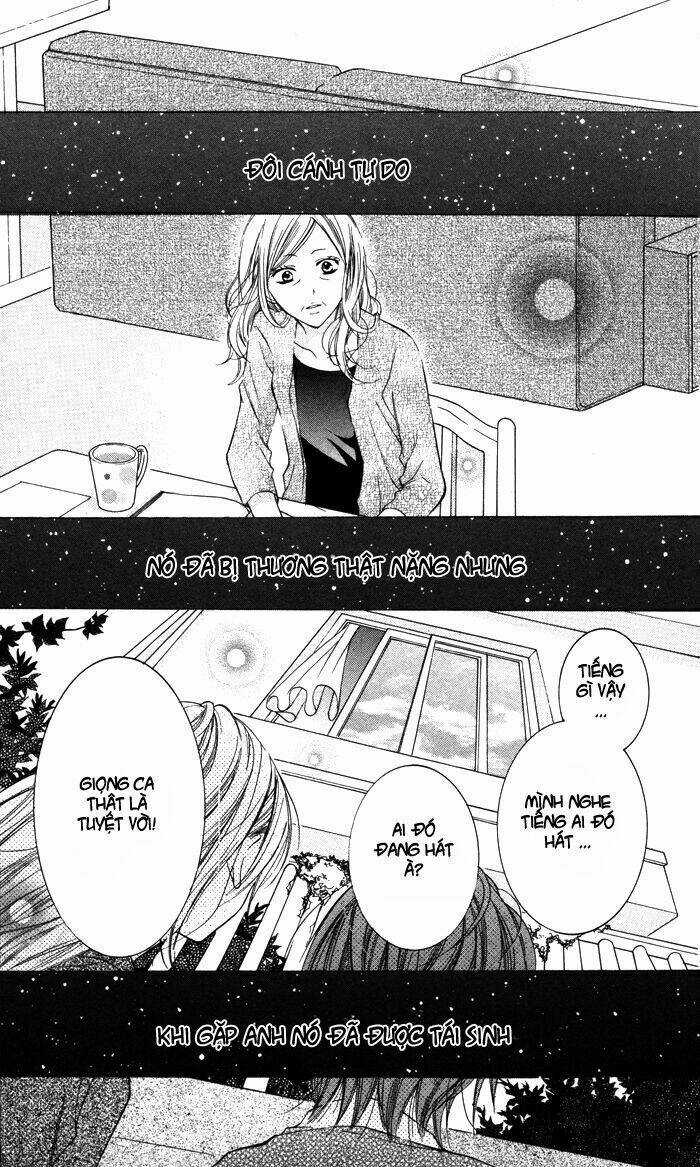 Hitoribocchi wa Samishikute Chapter 2 trang 17