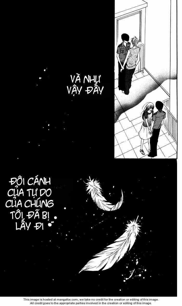 Hitoribocchi wa Samishikute Chapter 9 trang 30