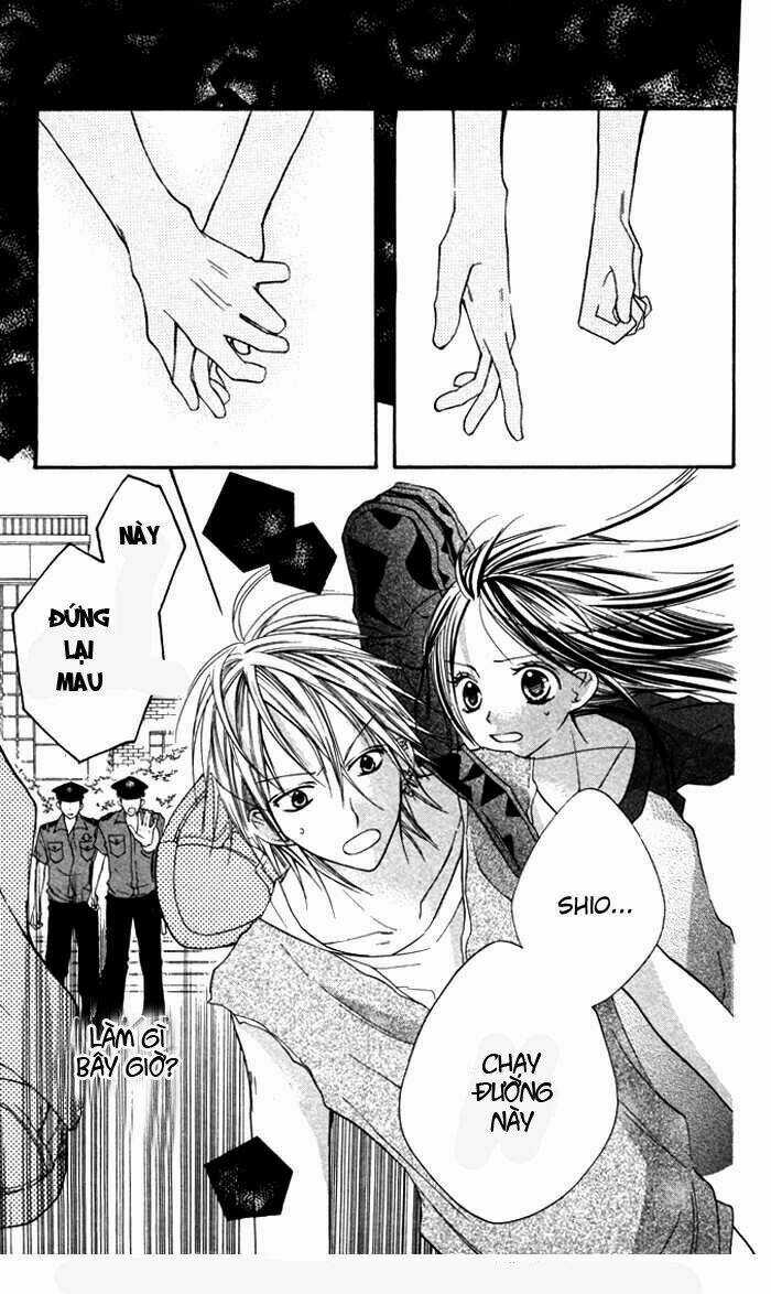 Hitoribocchi wa Samishikute Chapter 9 trang 9