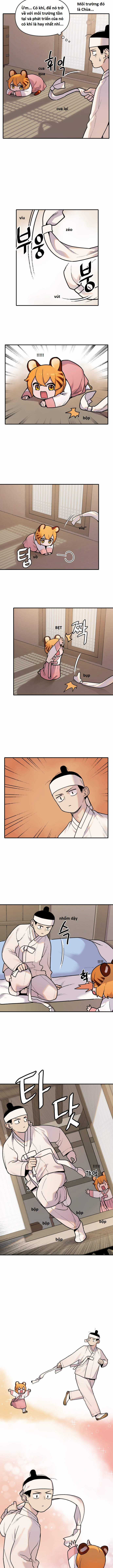 Hổ Đến Chơi Nhà (bản Puchimasu Tự) Chapter 1 trang 2