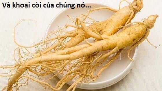 Hổ Đến Chơi Nhà (bản Puchimasu Tự) Chapter 100 trang 76