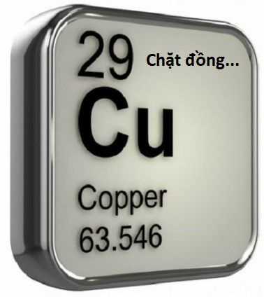 Hổ Đến Chơi Nhà (bản Puchimasu Tự) Chapter 101 trang 102