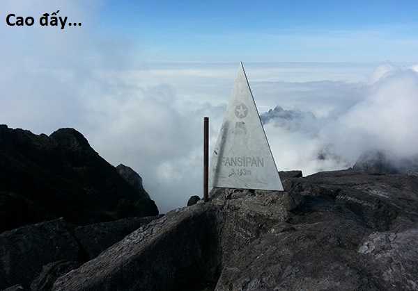 Hổ Đến Chơi Nhà (bản Puchimasu Tự) Chapter 101 trang 105