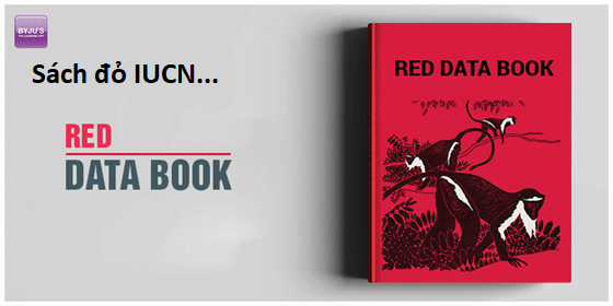 Hổ Đến Chơi Nhà (bản Puchimasu Tự) Chapter 104 trang 13