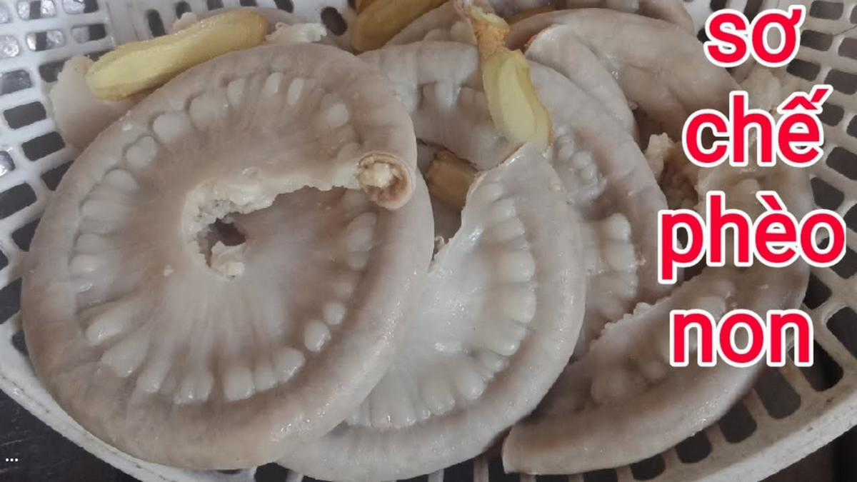 Hổ Đến Chơi Nhà (bản Puchimasu Tự) Chapter 104 trang 16