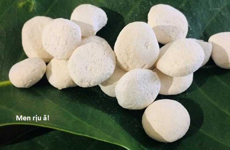 Hổ Đến Chơi Nhà (bản Puchimasu Tự) Chapter 105 trang 109