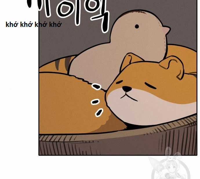 Hổ Đến Chơi Nhà (bản Puchimasu Tự) Chapter 105 trang 2