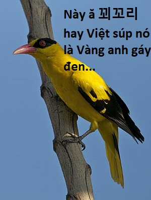 Hổ Đến Chơi Nhà (bản Puchimasu Tự) Chapter 107 trang 82