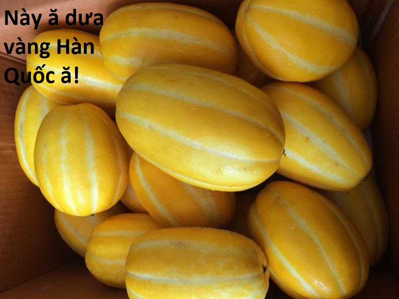 Hổ Đến Chơi Nhà (bản Puchimasu Tự) Chapter 108 trang 86