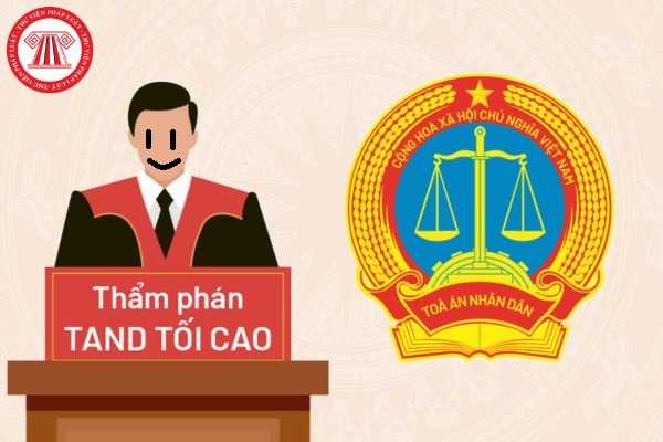Hổ Đến Chơi Nhà (bản Puchimasu Tự) Chapter 110 trang 113