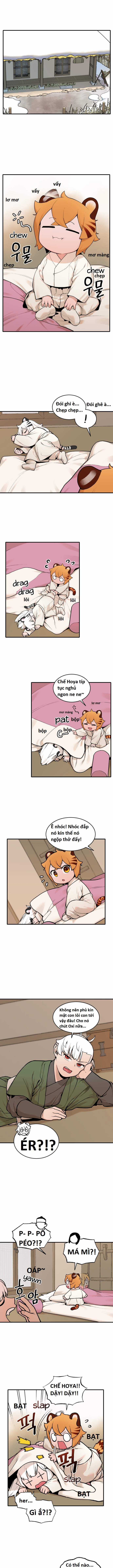 Hổ Đến Chơi Nhà (bản Puchimasu Tự) Chapter 16 trang 2