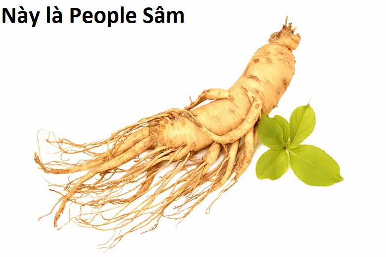 Hổ Đến Chơi Nhà (bản Puchimasu Tự) Chapter 16 trang 8