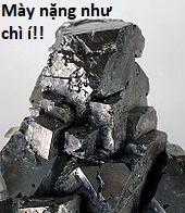 Hổ Đến Chơi Nhà (bản Puchimasu Tự) Chapter 17 trang 10