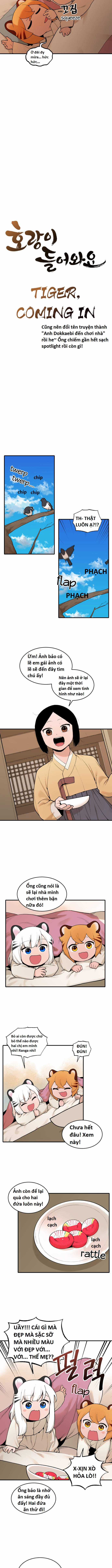 Hổ Đến Chơi Nhà (bản Puchimasu Tự) Chapter 19 trang 2