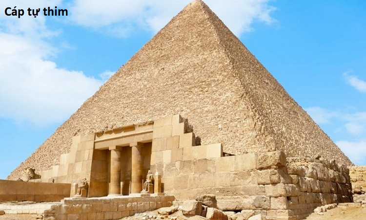 Hổ Đến Chơi Nhà (bản Puchimasu Tự) Chapter 23 trang 10