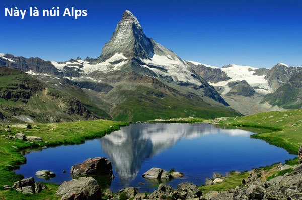 Hổ Đến Chơi Nhà (bản Puchimasu Tự) Chapter 23 trang 8