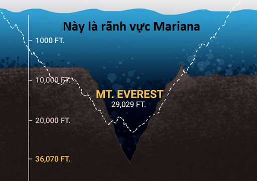Hổ Đến Chơi Nhà (bản Puchimasu Tự) Chapter 23 trang 9