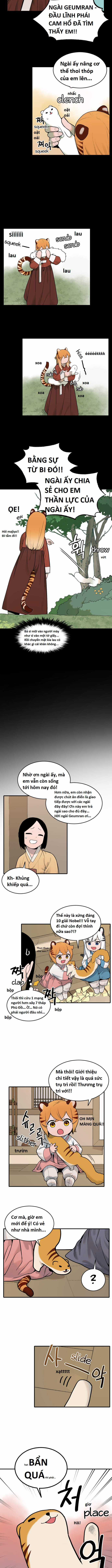 Hổ Đến Chơi Nhà (bản Puchimasu Tự) Chapter 25 trang 3