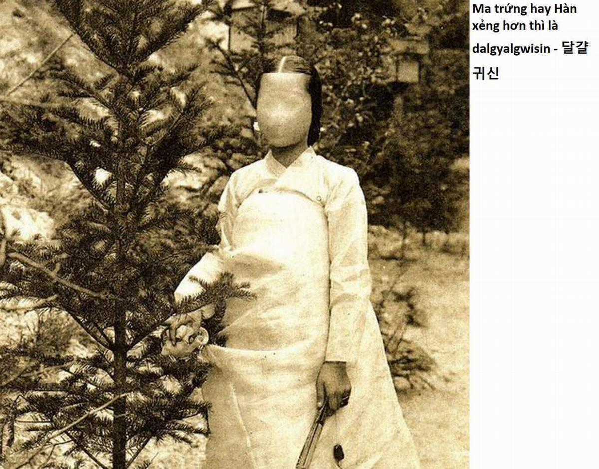 Hổ Đến Chơi Nhà (bản Puchimasu Tự) Chapter 28 trang 15