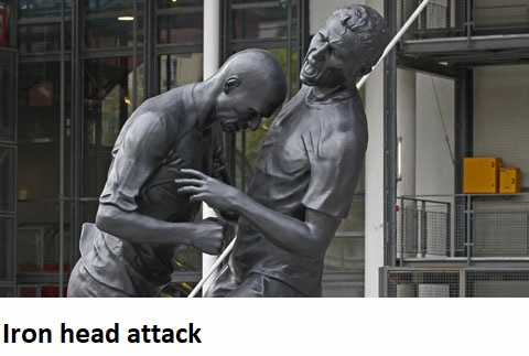 Hổ Đến Chơi Nhà (bản Puchimasu Tự) Chapter 29 trang 17