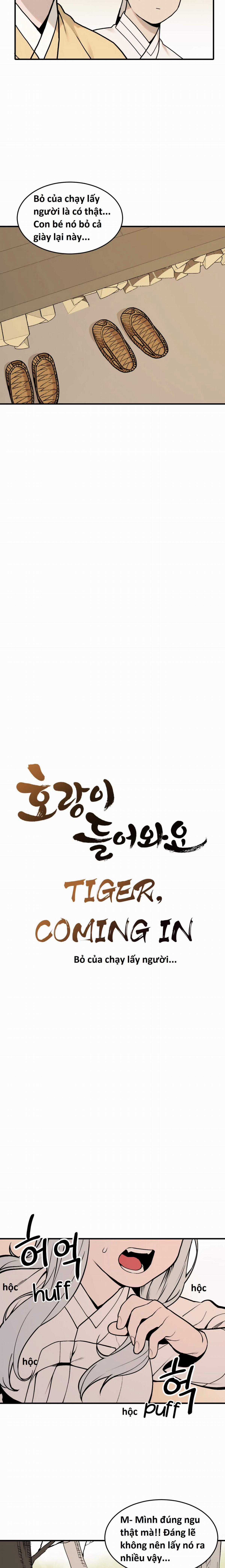 Hổ Đến Chơi Nhà (bản Puchimasu Tự) Chapter 31 trang 4