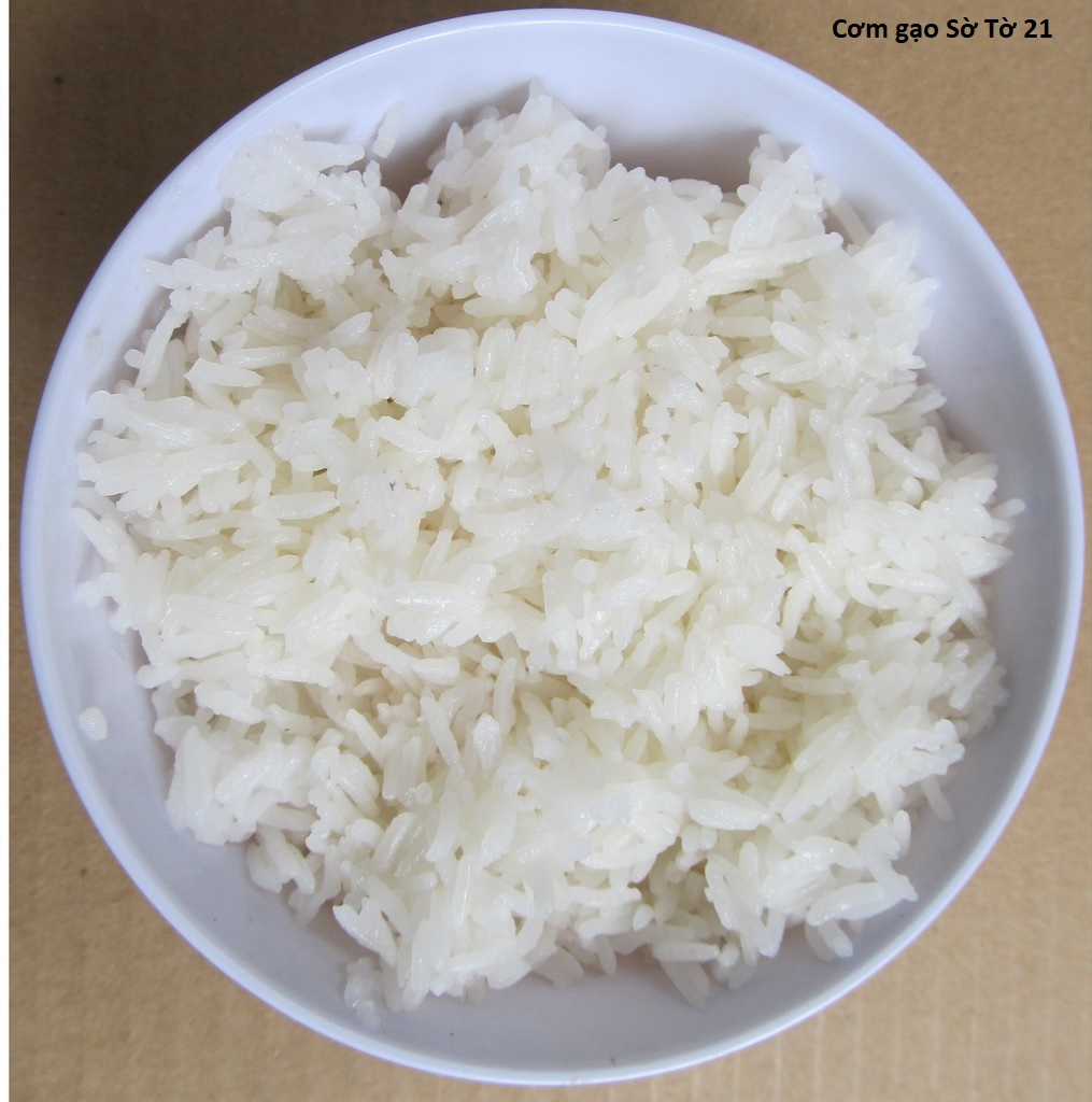 Hổ Đến Chơi Nhà (bản Puchimasu Tự) Chapter 35 trang 14