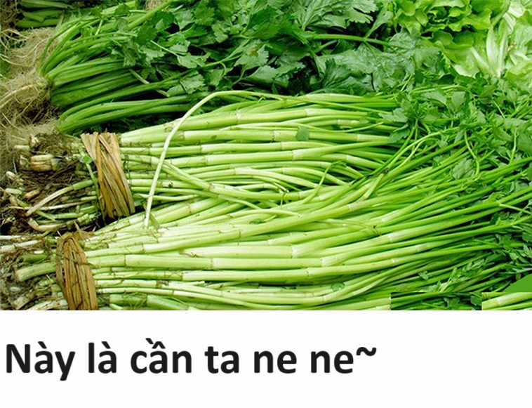 Hổ Đến Chơi Nhà (bản Puchimasu Tự) Chapter 42 trang 15