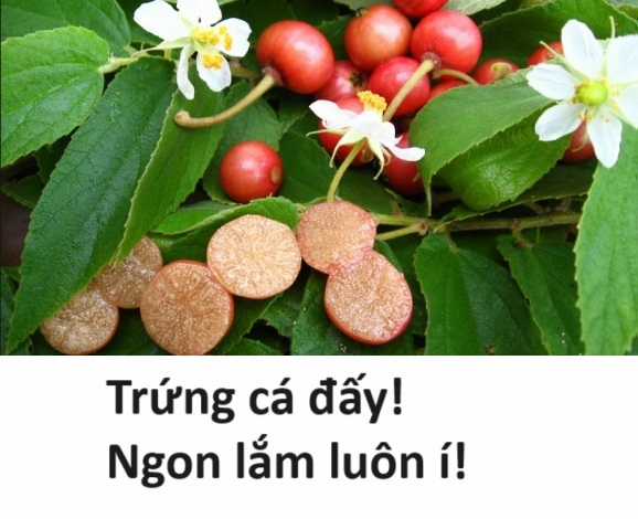 Hổ Đến Chơi Nhà (bản Puchimasu Tự) Chapter 42 trang 18