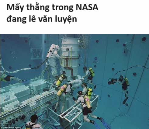 Hổ Đến Chơi Nhà (bản Puchimasu Tự) Chapter 44 trang 14