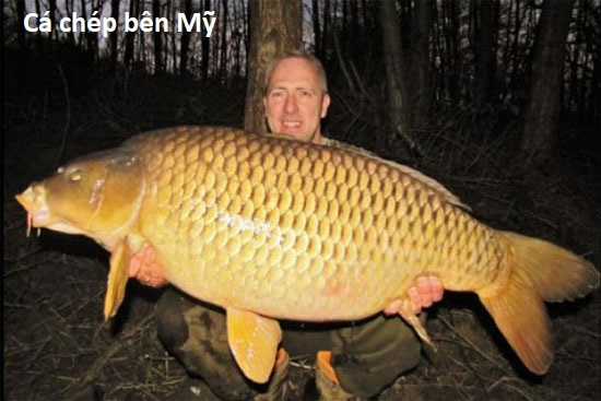 Hổ Đến Chơi Nhà (bản Puchimasu Tự) Chapter 46 trang 18