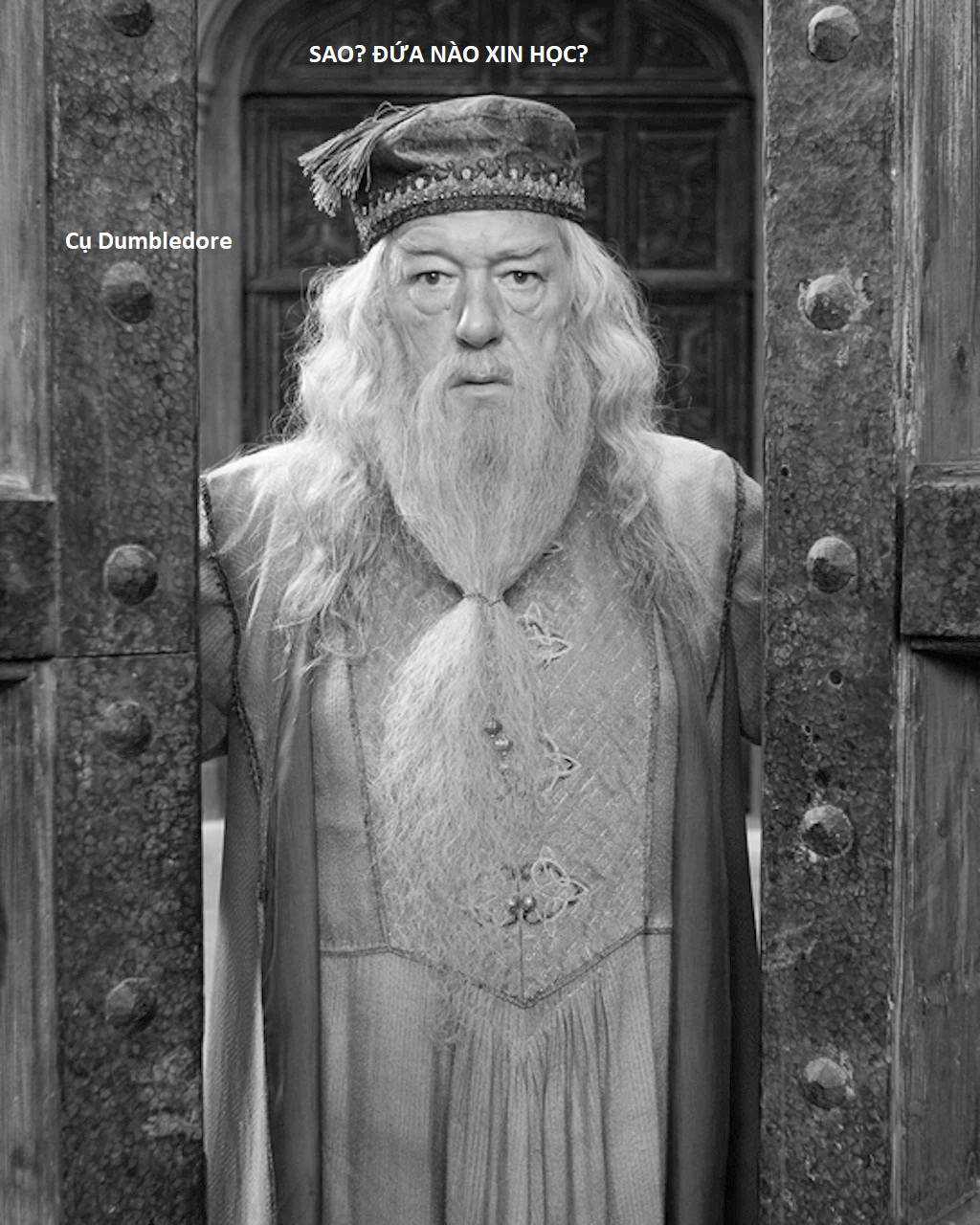 Hổ Đến Chơi Nhà (bản Puchimasu Tự) Chapter 46 trang 19