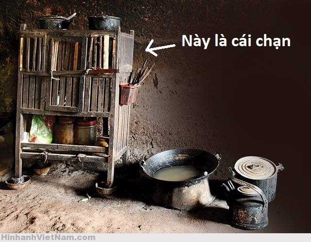 Hổ Đến Chơi Nhà (bản Puchimasu Tự) Chapter 48 trang 17