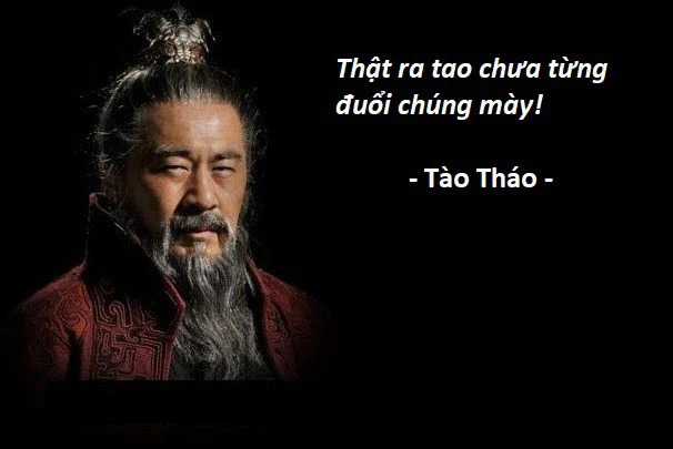 Hổ Đến Chơi Nhà (bản Puchimasu Tự) Chapter 48 trang 19