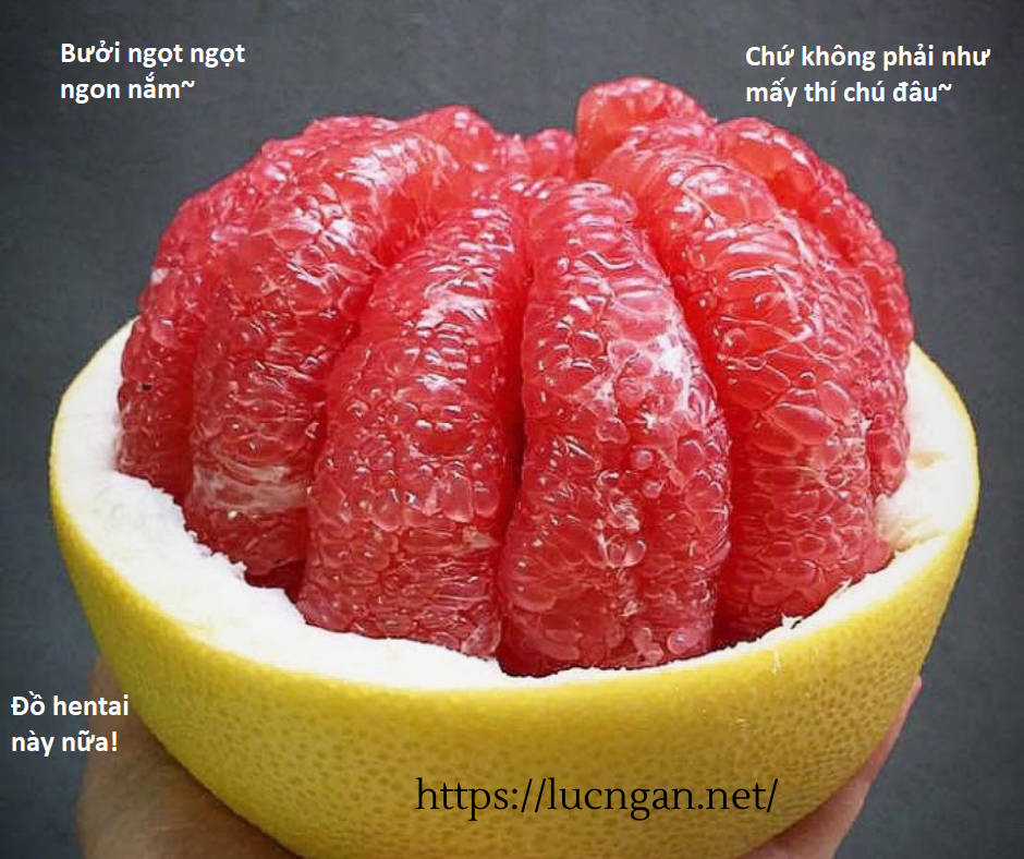 Hổ Đến Chơi Nhà (bản Puchimasu Tự) Chapter 51 trang 13