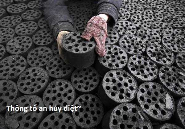 Hổ Đến Chơi Nhà (bản Puchimasu Tự) Chapter 51 trang 19