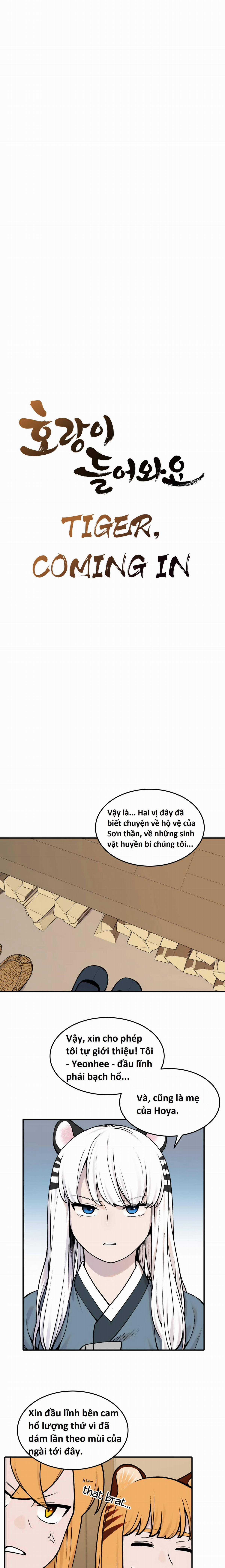 Hổ Đến Chơi Nhà (bản Puchimasu Tự) Chapter 51 trang 3