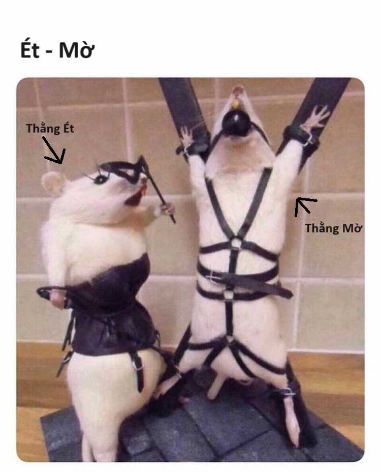 Hổ Đến Chơi Nhà (bản Puchimasu Tự) Chapter 57 trang 12