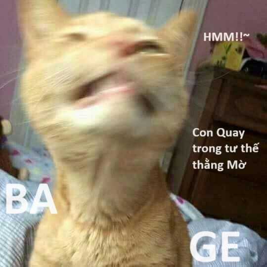 Hổ Đến Chơi Nhà (bản Puchimasu Tự) Chapter 57 trang 13