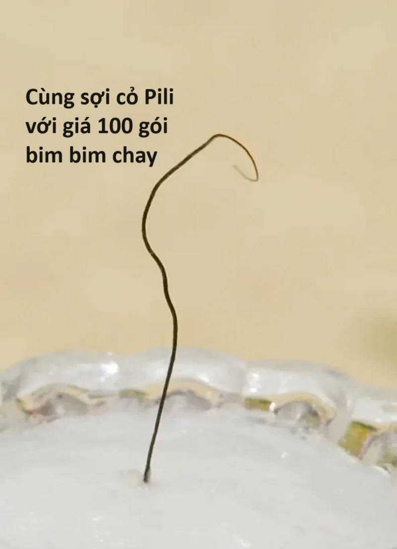 Hổ Đến Chơi Nhà (bản Puchimasu Tự) Chapter 58 trang 22