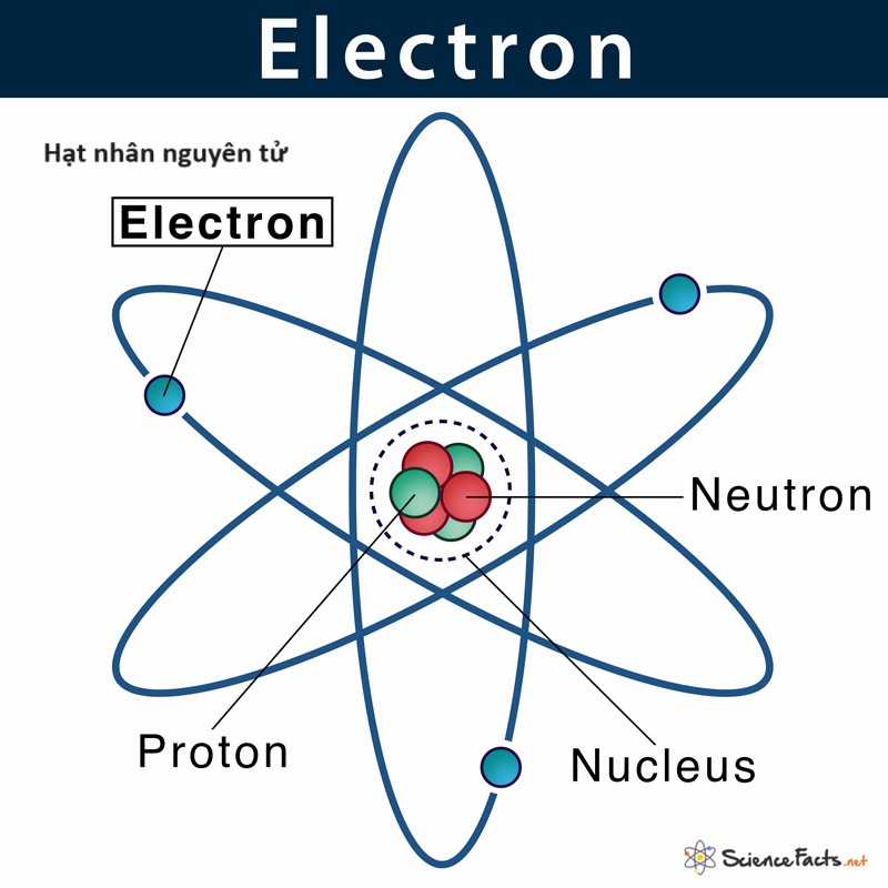 Hổ Đến Chơi Nhà (bản Puchimasu Tự) Chapter 59 trang 15