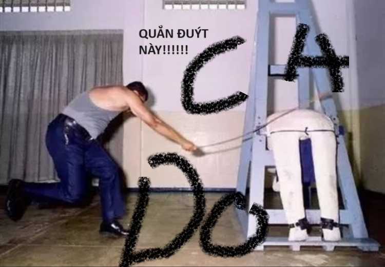 Hổ Đến Chơi Nhà (bản Puchimasu Tự) Chapter 6 trang 15