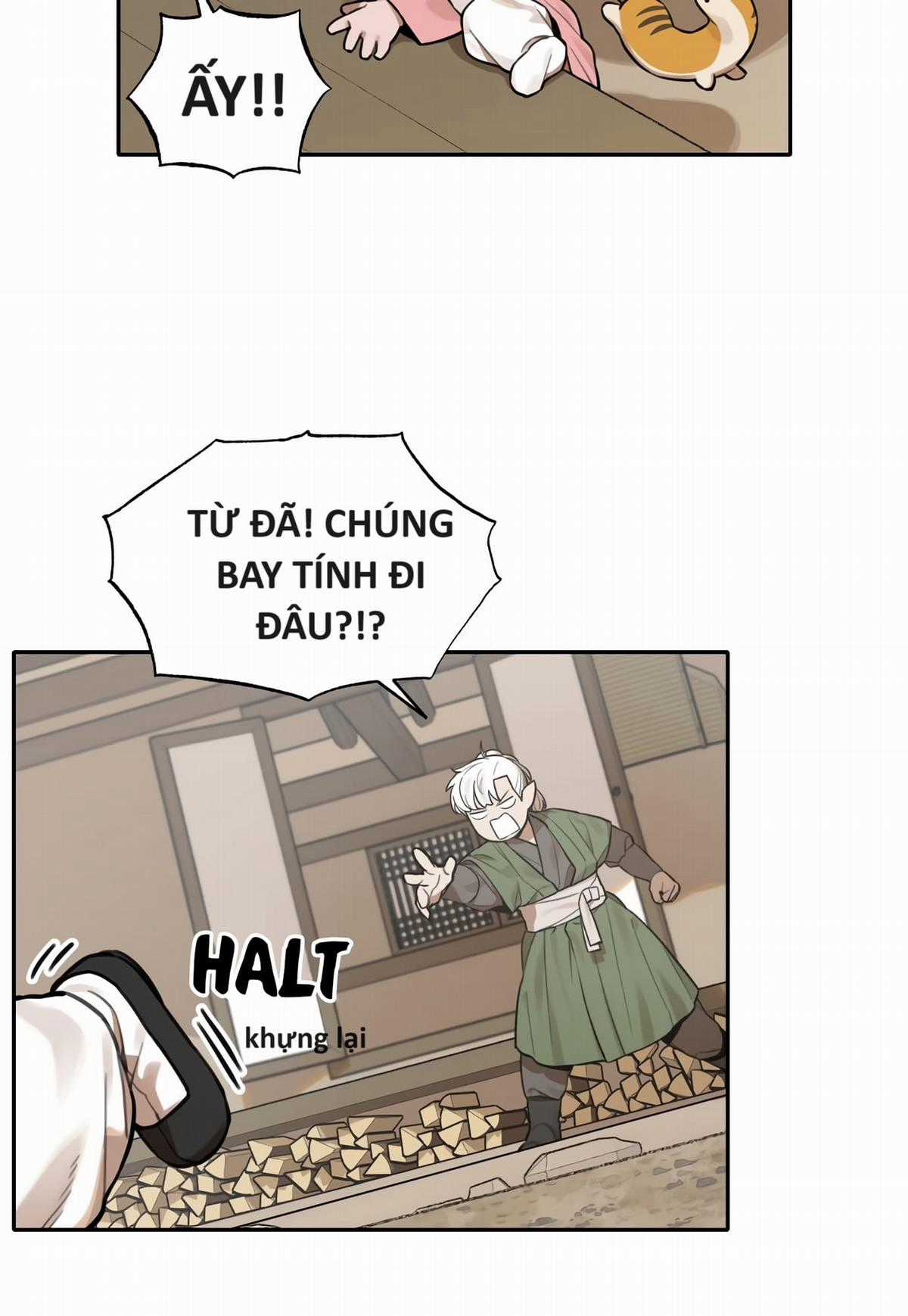 Hổ Đến Chơi Nhà (bản Puchimasu Tự) Chapter 62 trang 27