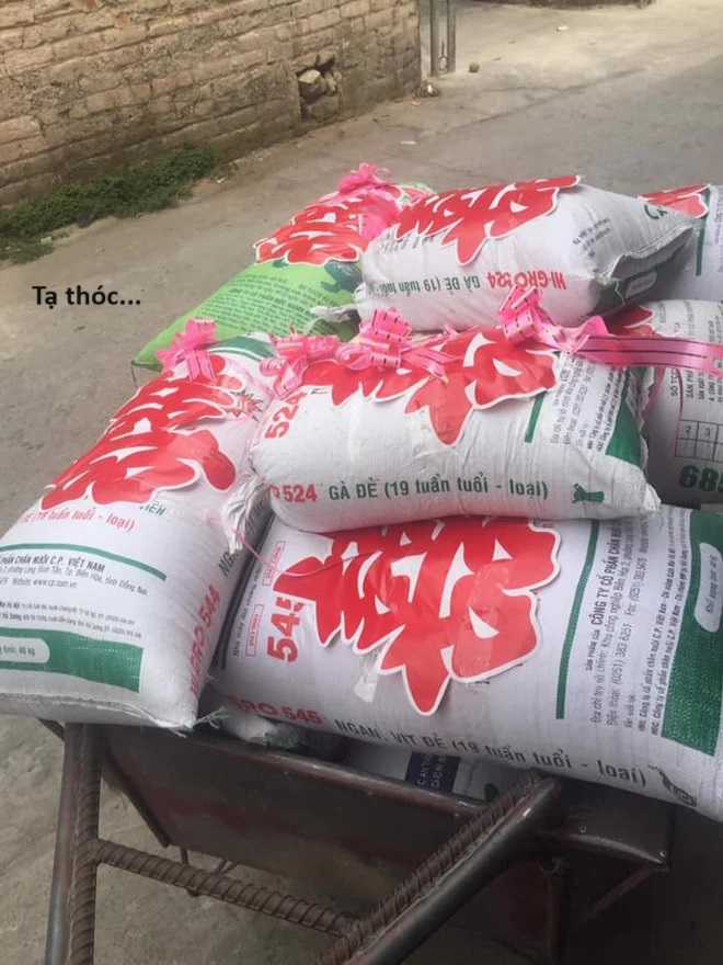 Hổ Đến Chơi Nhà (bản Puchimasu Tự) Chapter 63 trang 74