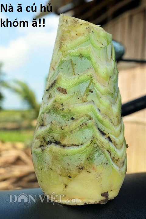 Hổ Đến Chơi Nhà (bản Puchimasu Tự) Chapter 64 trang 73