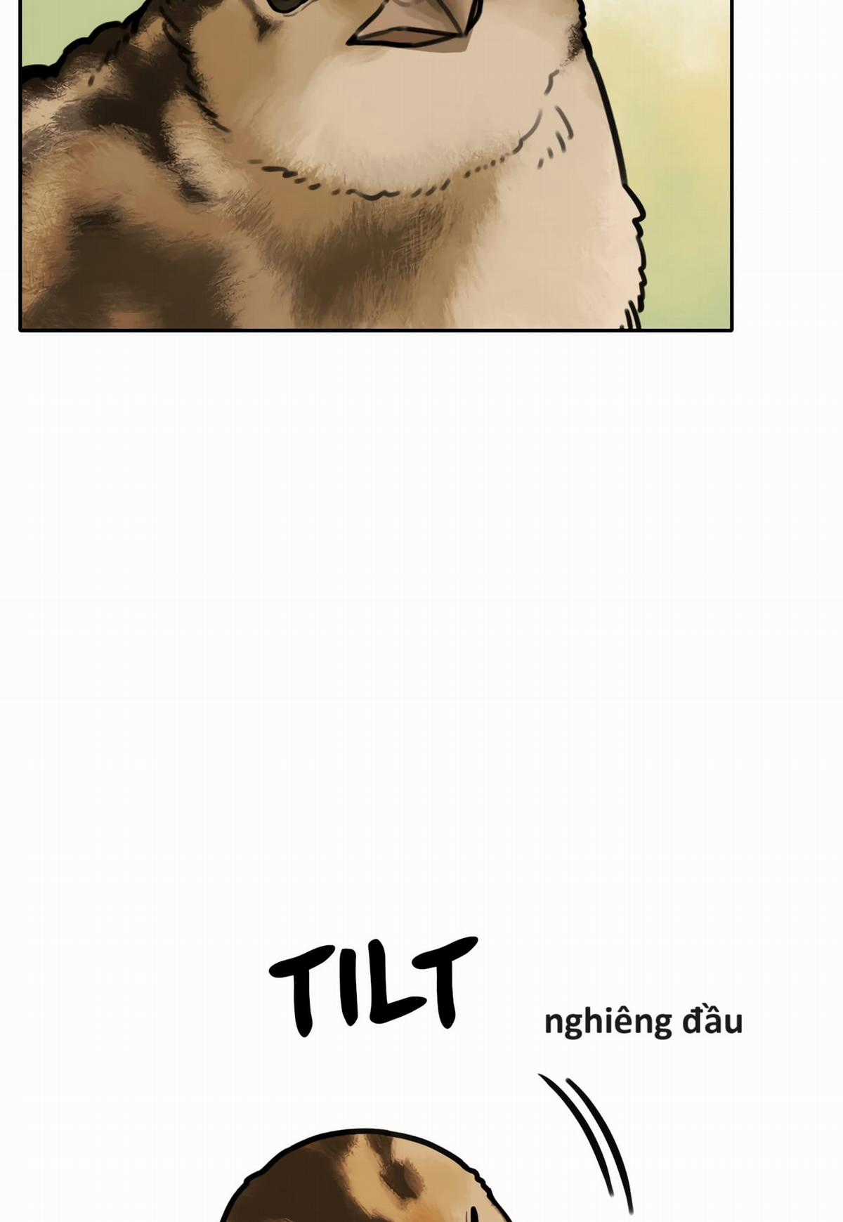 Hổ Đến Chơi Nhà (bản Puchimasu Tự) Chapter 67 trang 29