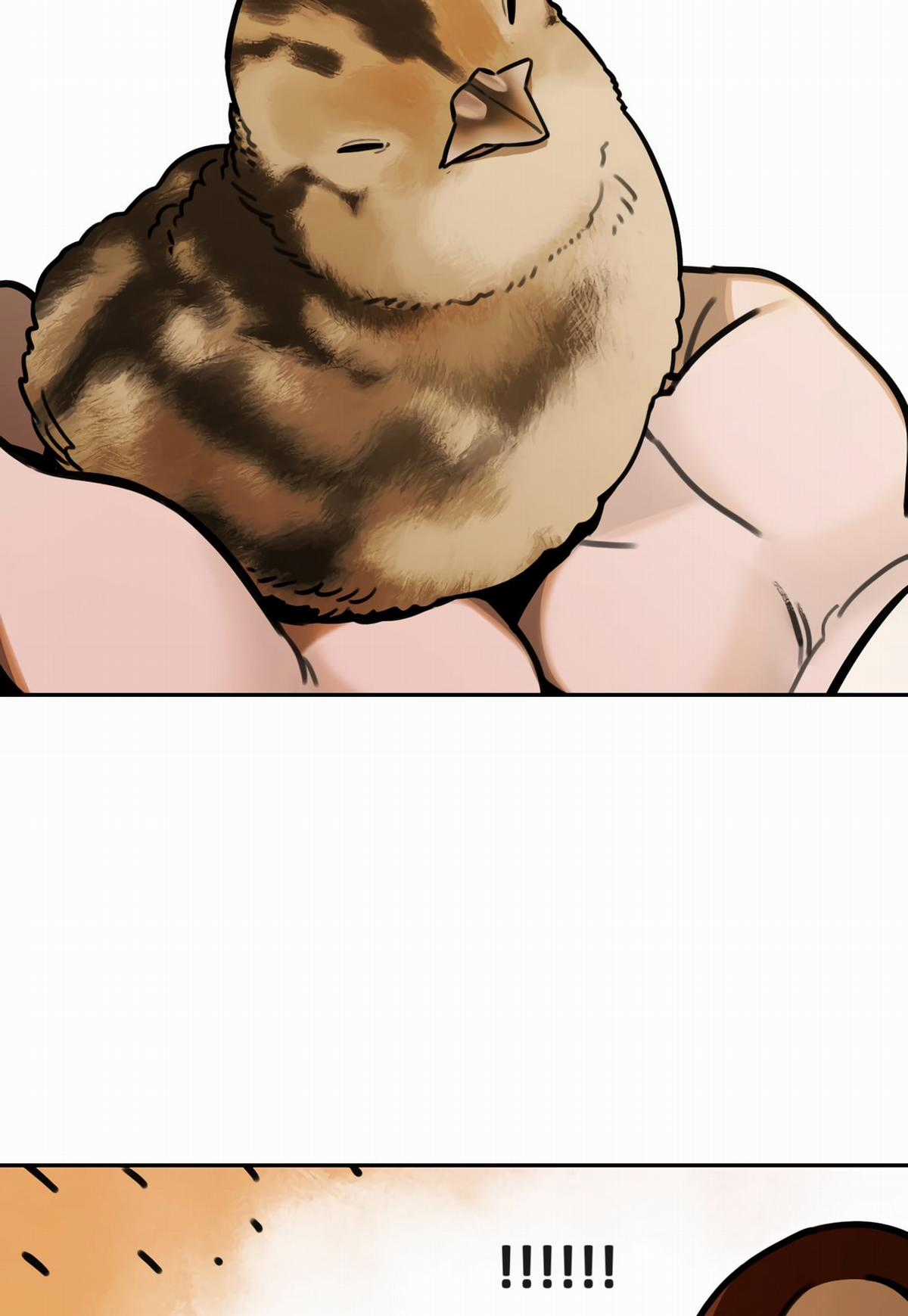 Hổ Đến Chơi Nhà (bản Puchimasu Tự) Chapter 67 trang 30